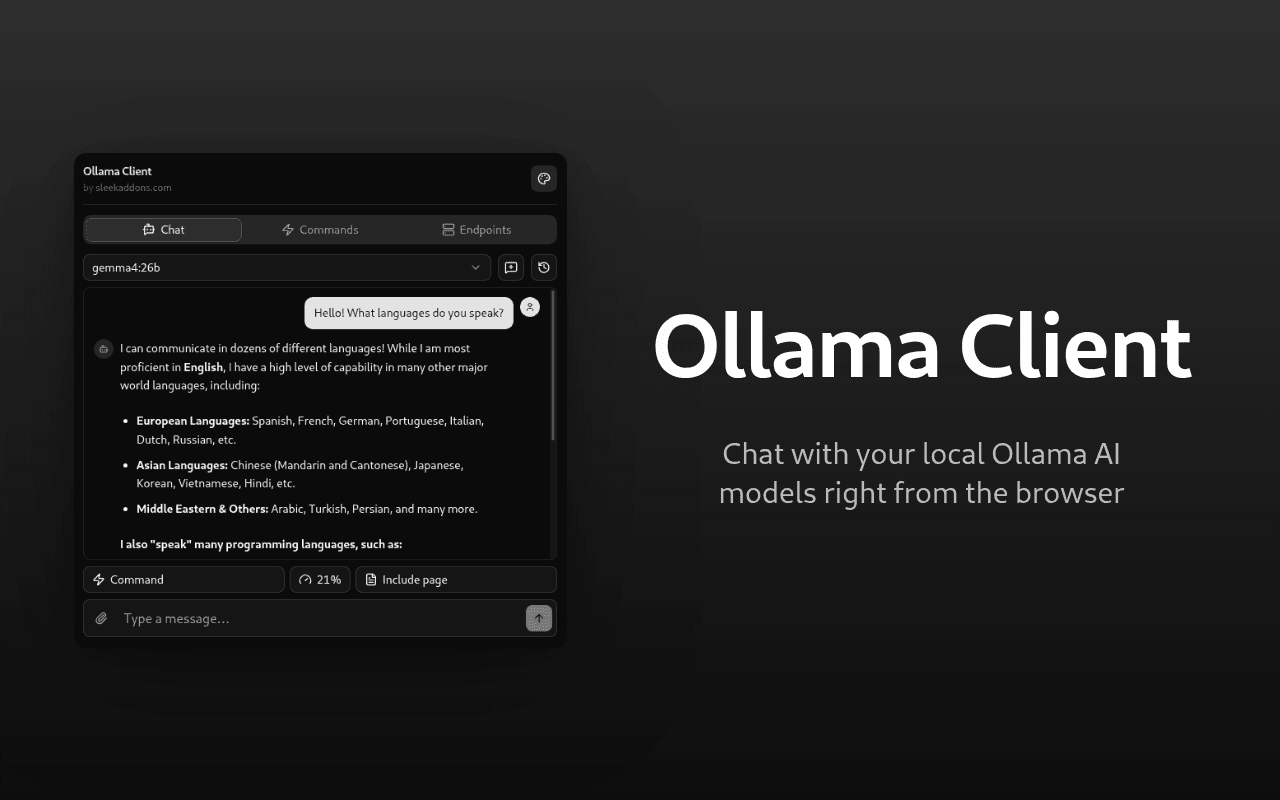 Ollama Client chat interface with a local language model conversation